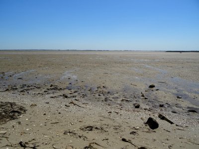 Marée basse, vue depuis le passage du Gois, île de Noirmou… 