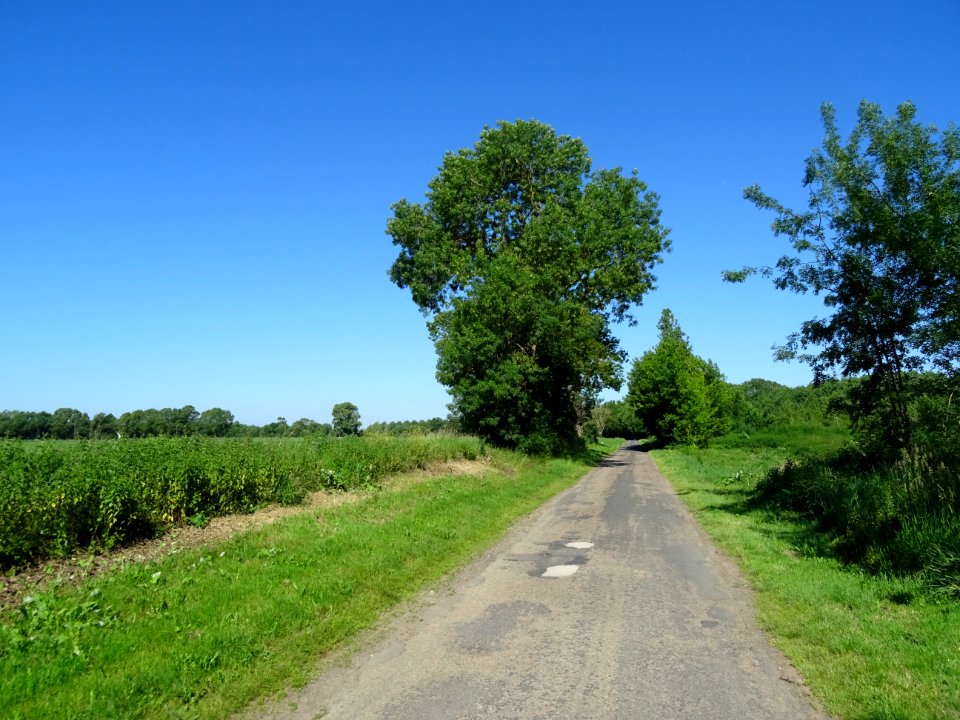 Petite route pour quitter Chinon, Indre-et-Loire 