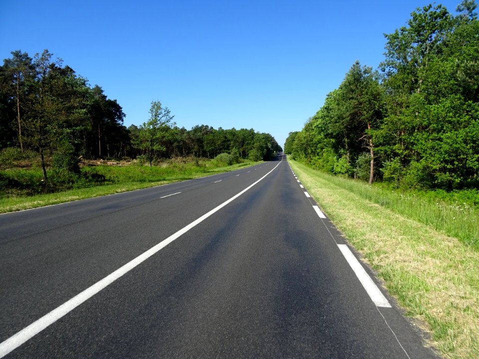 15 km de ligne droite pour traverser la forêt domaniale de… 