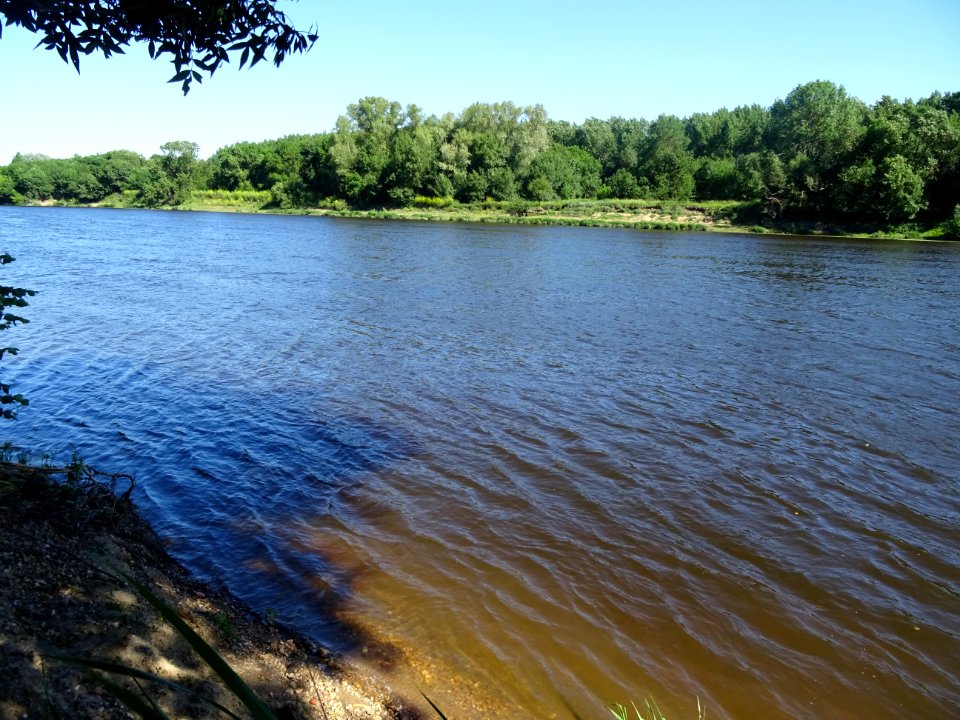 Quelques km à l'ouest de Chinon, vue sur la Vienne, Indre-… 