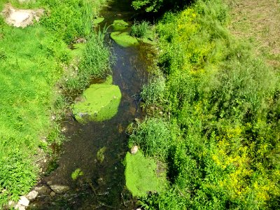 Petit cours d'eau avant Saint-Germain-sur-Vienne, Indre-et… 