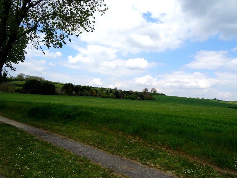 Grande prairie, vers Chavenay, Yvelines 