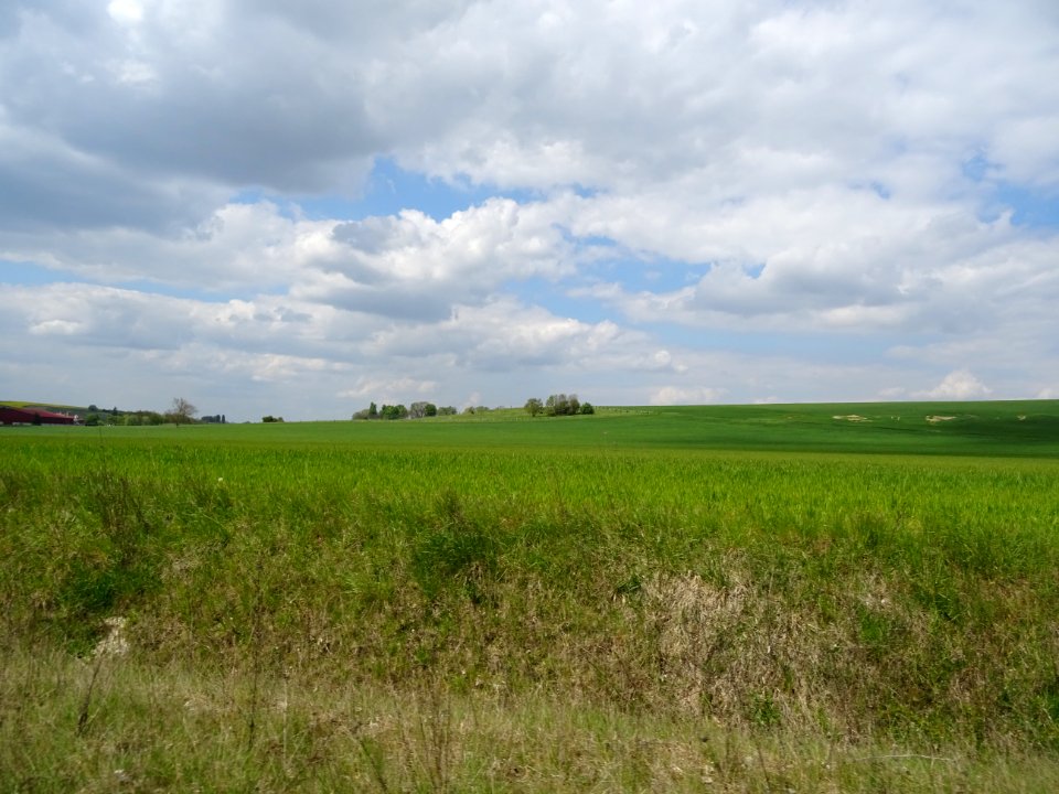 Première grande étendue après St-Nom-la-Bretèche, Yvelines… 