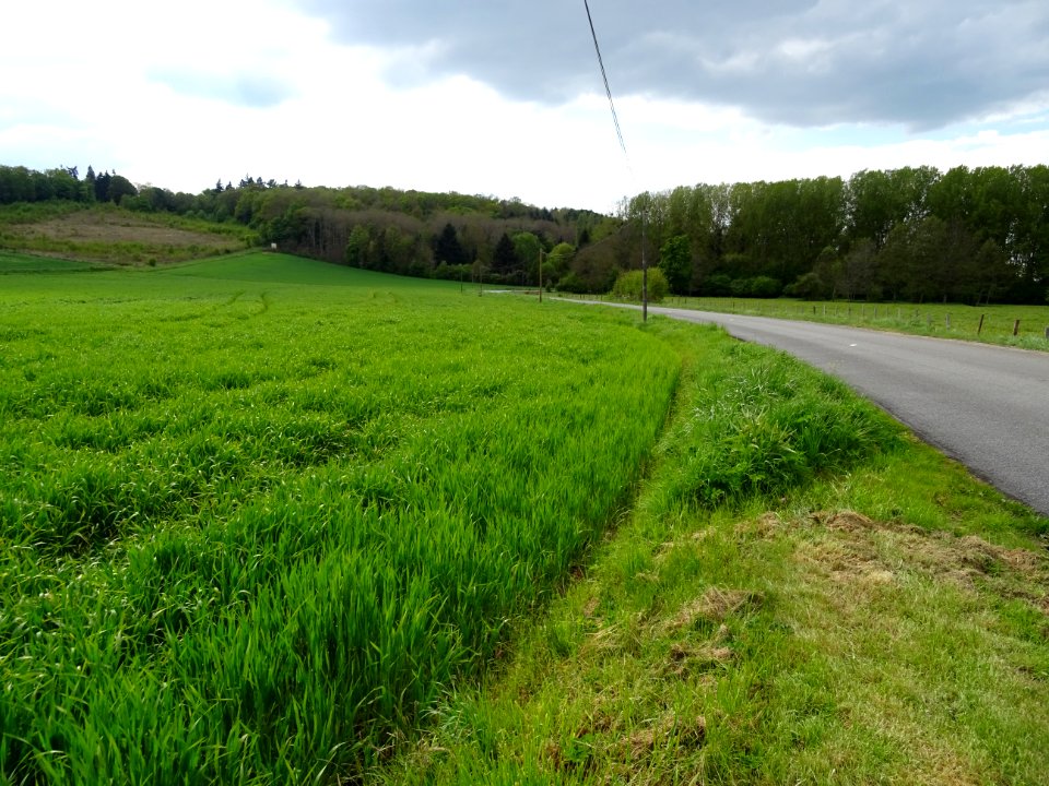 DSC02744 