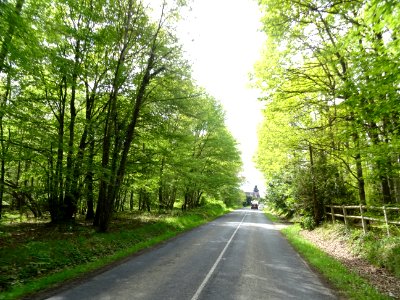 DSC02637 