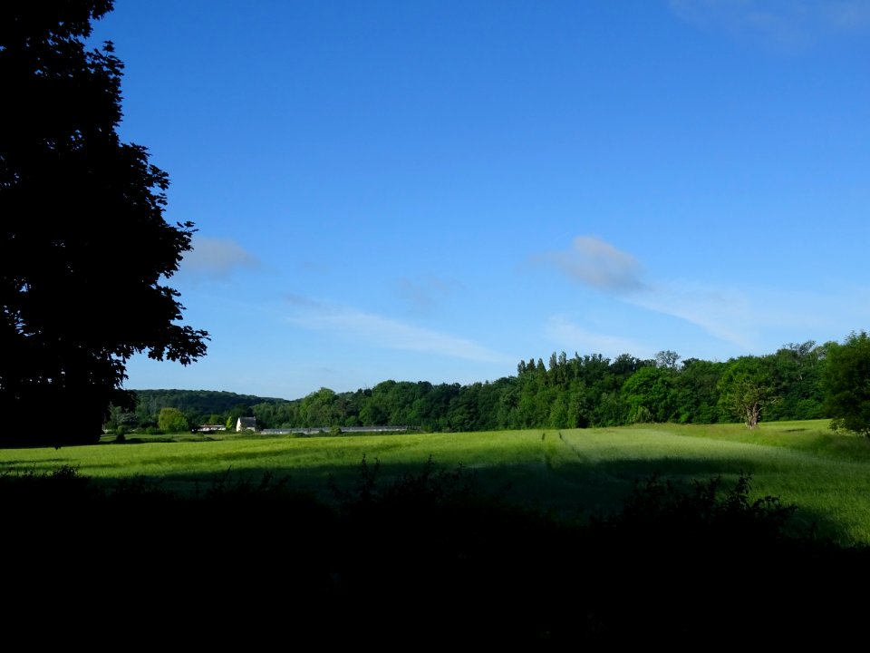 Vue sur les champs, Marcoussis, Essonne 