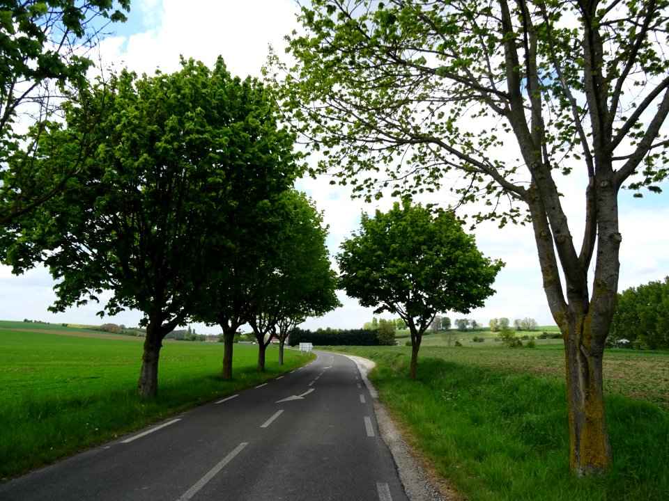 Route vers Chavenay, Yvelines 