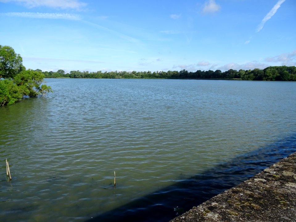 Etang Vieux, Saclay, Essonne 