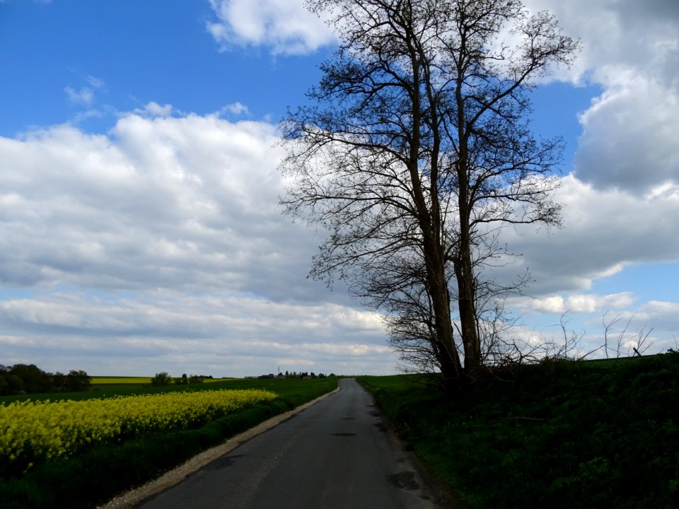 Route d'Anet après La Haye, Yvelines 