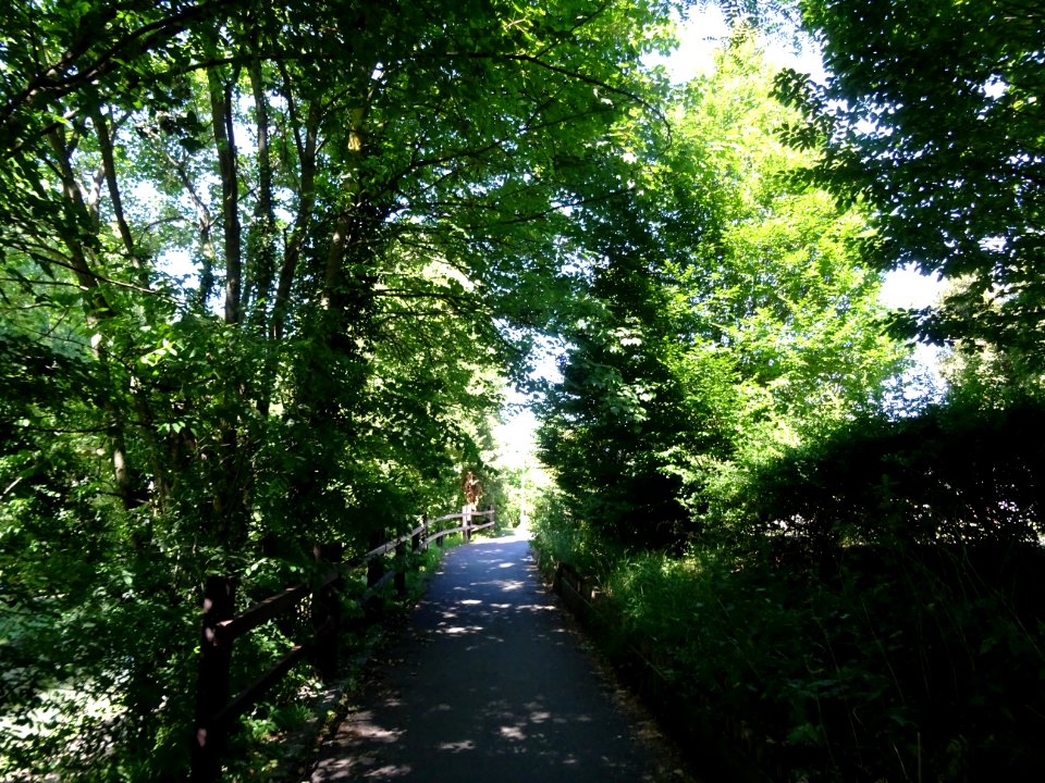 Sur la piste cyclable le long du canal de l'Ourcq, Aulnay-… 
