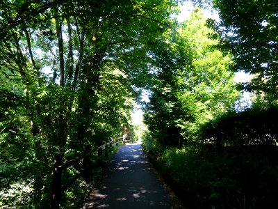 Sur la piste cyclable le long du canal de l'Ourcq, Aulnay-… 
