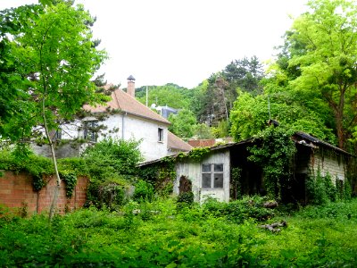 DSC04143 