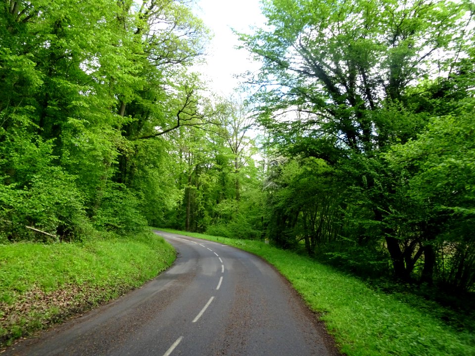 Forêt domaniale de Retz entre Corcy et Longpont, Aisne 