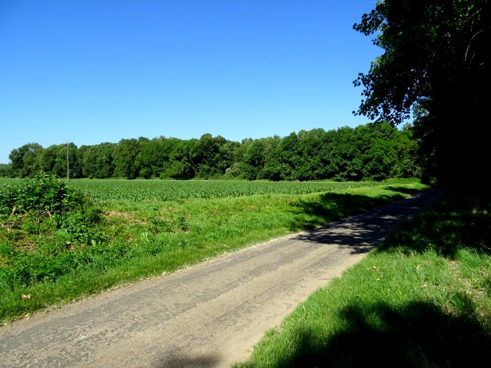 Petite route pour quitter Chinon, Indre-et-Loire 