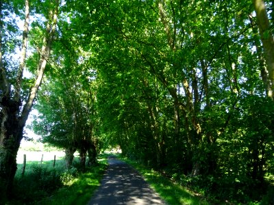 Petite route pour quitter Chinon, Indre-et-Loire 