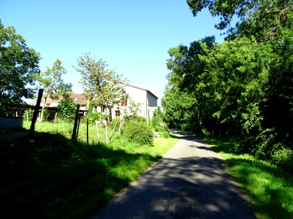 Vers Sauvegrain, commune de Chinon, Indre-et-Loire 