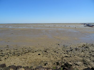Marée basse, île de Noirmoutier, Vendée 