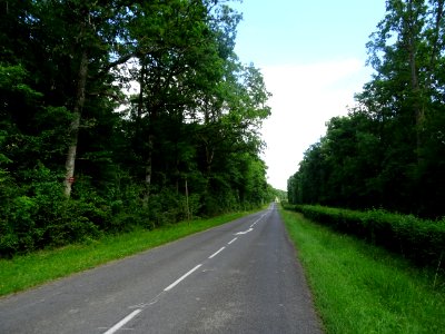 DSC04330 