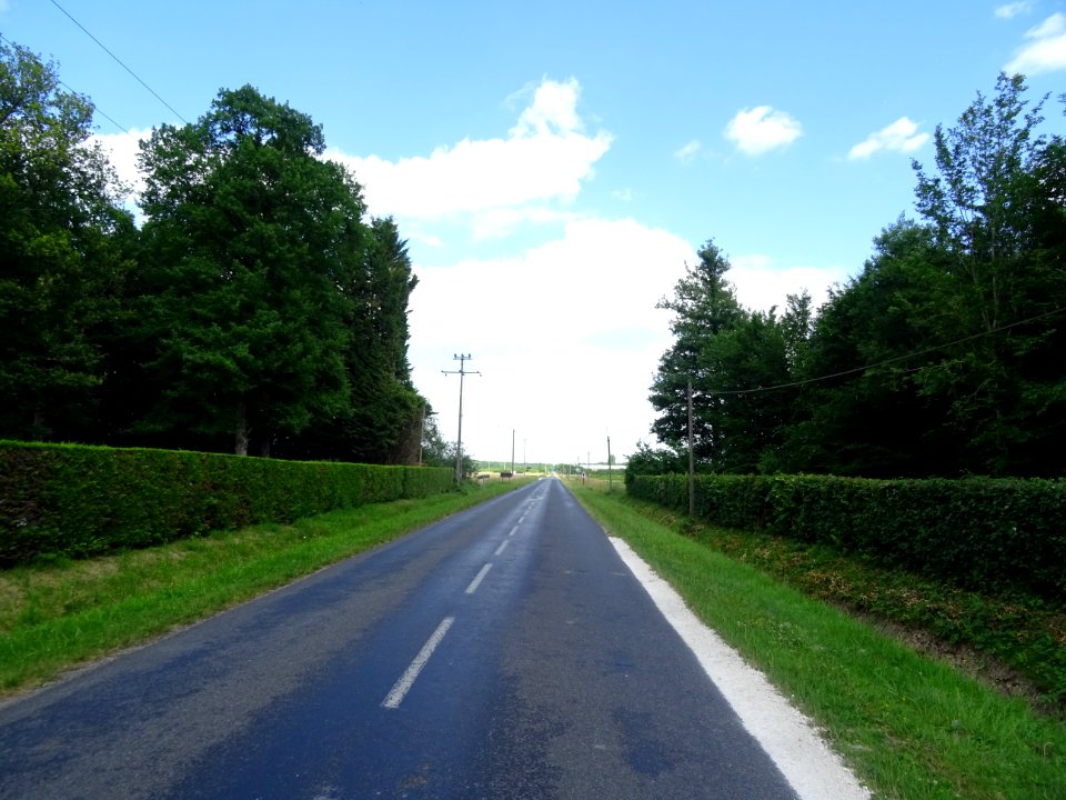 DSC04318 