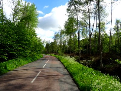 Avenue de Verdun en quittant La Ferté-Millon, Aisne 