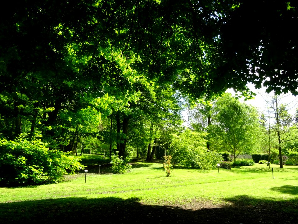 Dans le parc du château de Septmonts, Aisne 