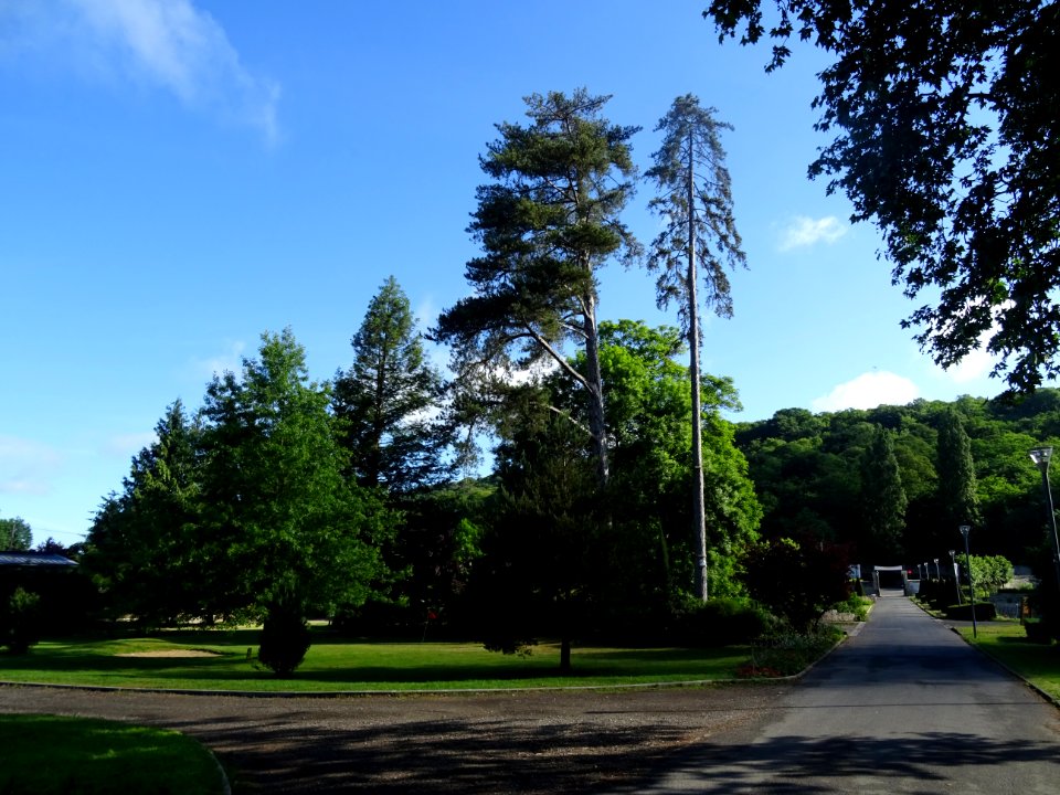 Le parc du lycée Saint-Antoine, Marcoussis, Essonne 