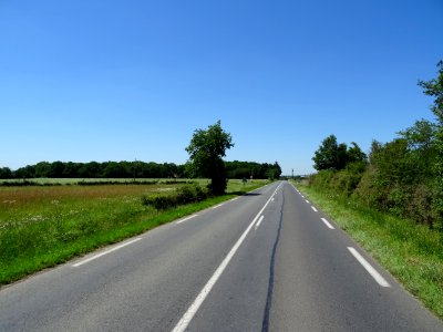 Vous reprendrez bien un peu de ligne droite 