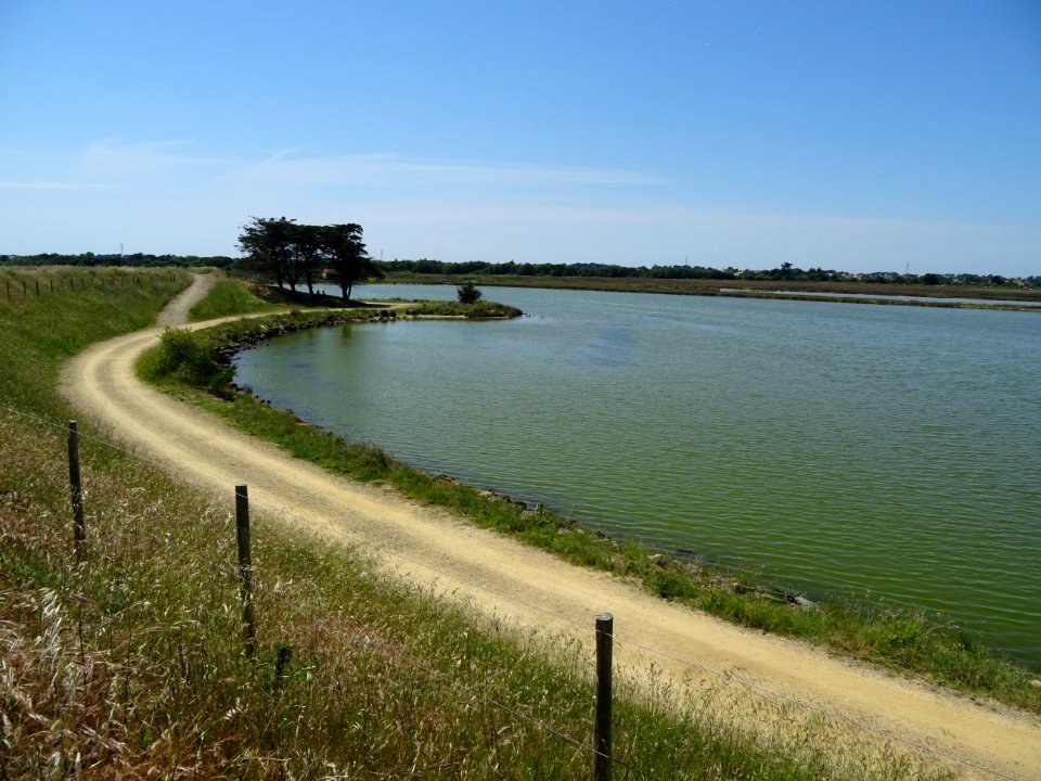 Polder de Sébastopol, île de Noirmoutier, Vendée 