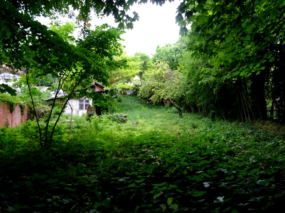 DSC04114 