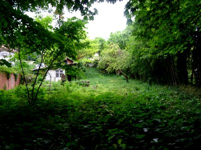 DSC04114 