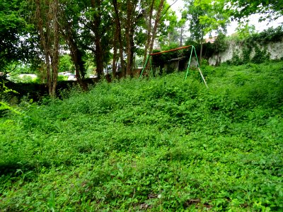 DSC04125 