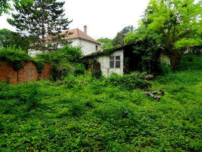 DSC04117 