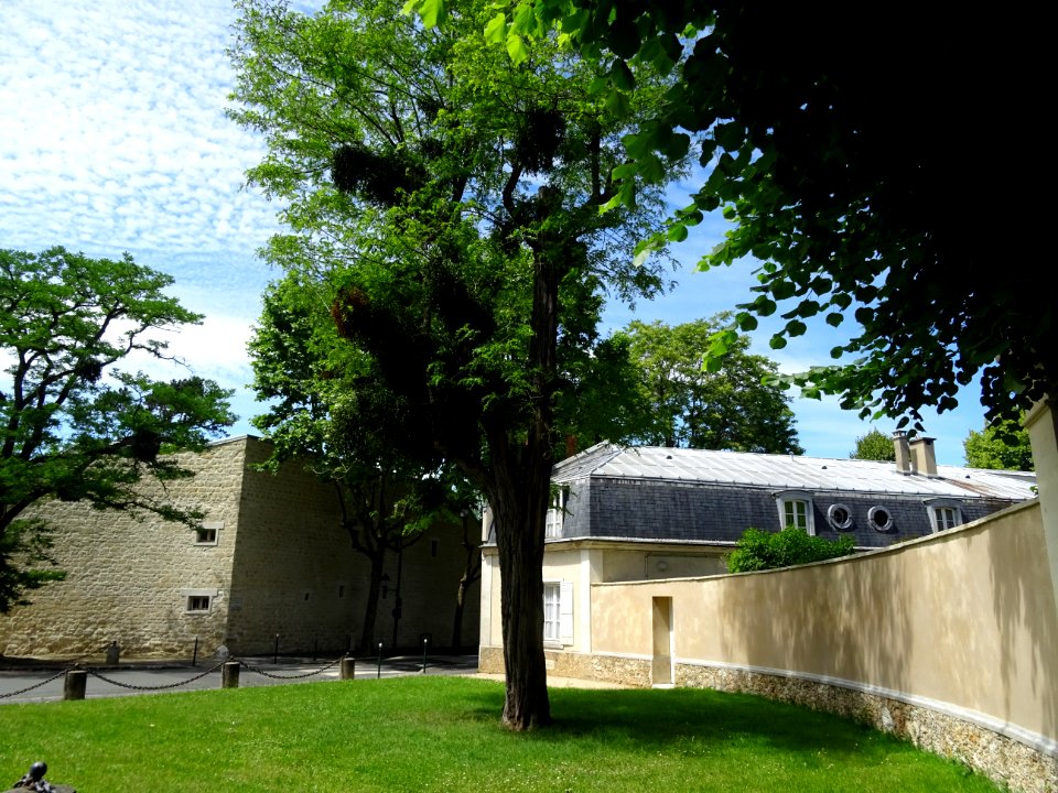 Domaine national de Malmaison et de Bois Préau 