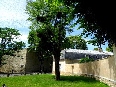 Domaine national de Malmaison et de Bois Préau 