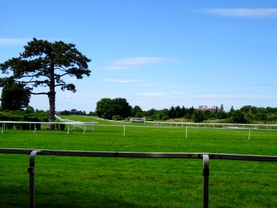 Hippodrome de St-Cloud 