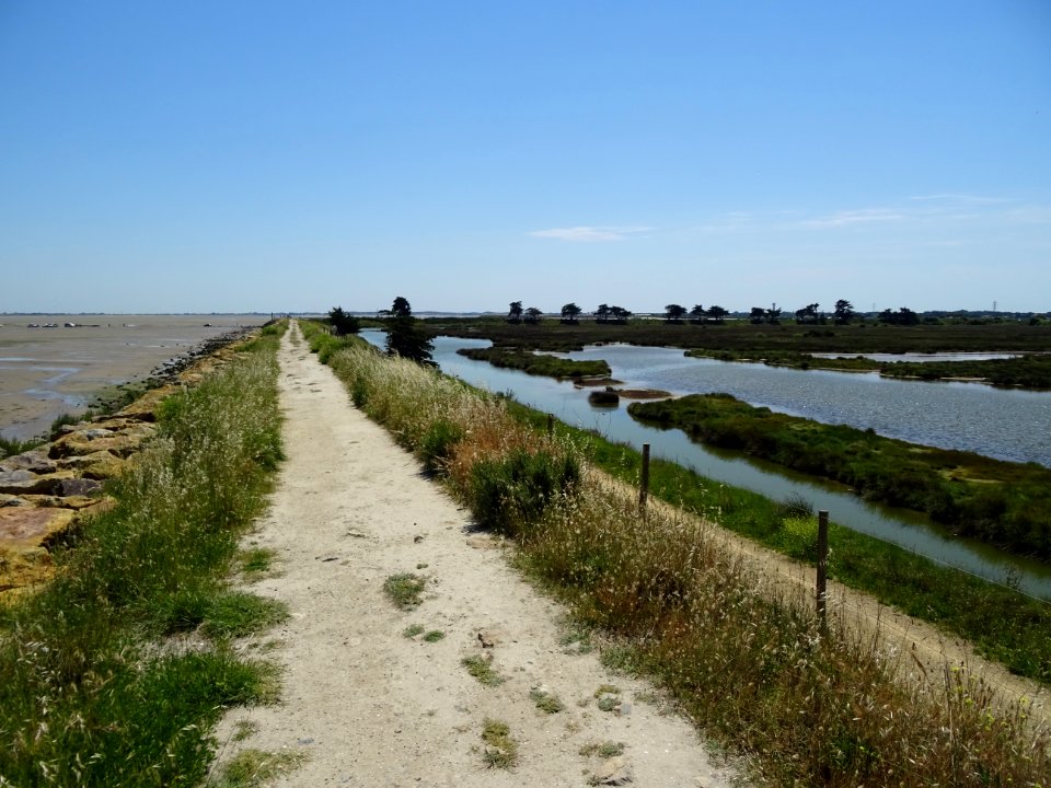 Polder de Sébastopol, île de Noirmoutier, Vendée 