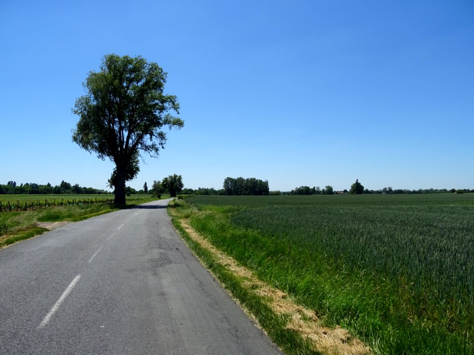 Entre Chavannes, Maine-et-Loire et Glandes, Deux-Sèvres 