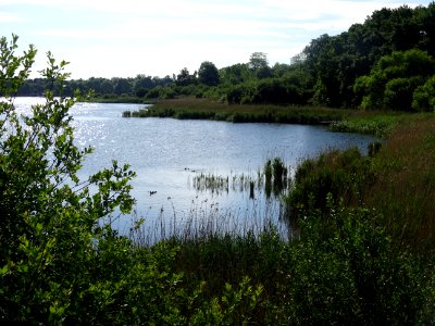 Etang de Saclay, Saclay, Essonne 
