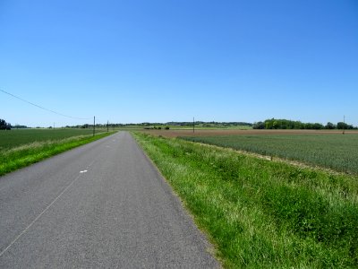 Entre Chavannes, Maine-et-Loire et Glandes, Deux-Sèvres 