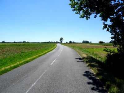 Entre Chavannes, Maine-et-Loire et Glandes, Deux-Sèvres 