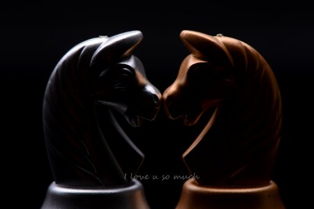 Chess love story