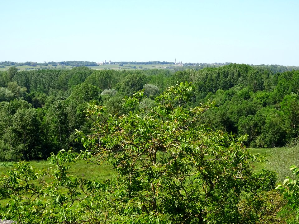 Vue depuis Montreuil-Bellay, Maine-et-Loire 