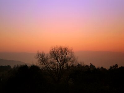 Sunset tree horizon