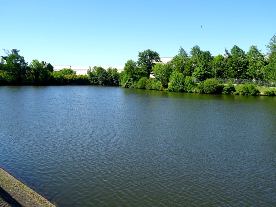 Etang du Bois Regnier, entrée de Cholet, Maine-et-Loire 