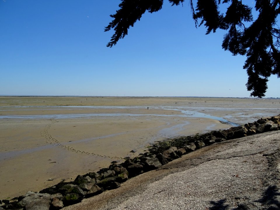 Marée basse, île de Noirmoutier, Vendée 