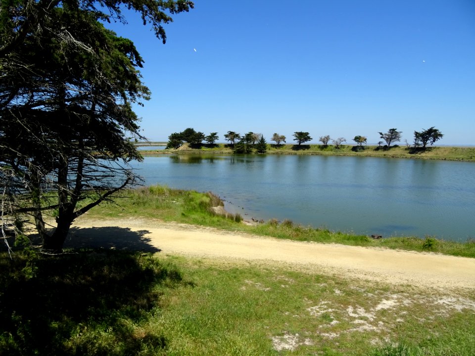 Polder de Sébastopol, île de Noirmoutier, Vendée 