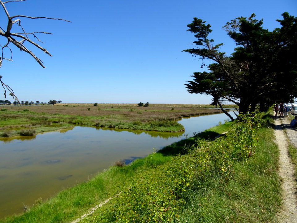 Polder de Sébastopol, île de Noirmoutier, Vendée 
