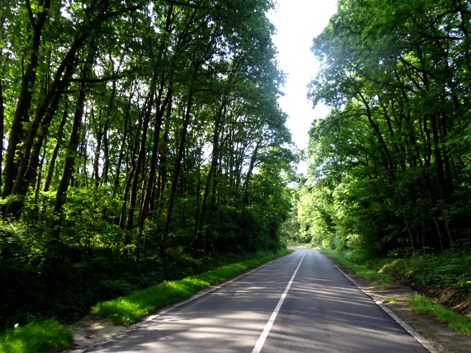 Descente vers Marcoussis, Essonne 