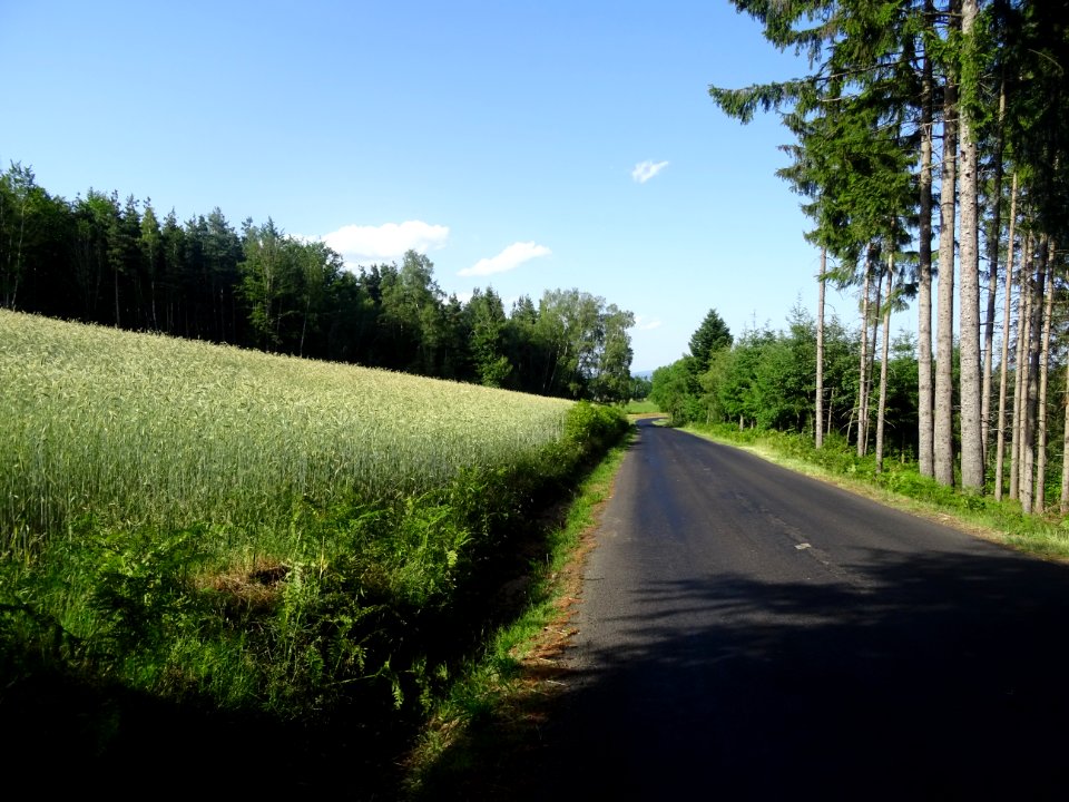 En repartant de Tence, Haute-Loire 