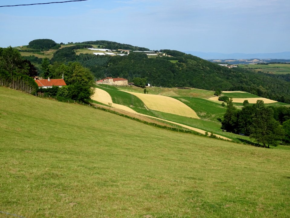 Prairies, bois et cultures, monts du Lyonnais entre Yzeron… 